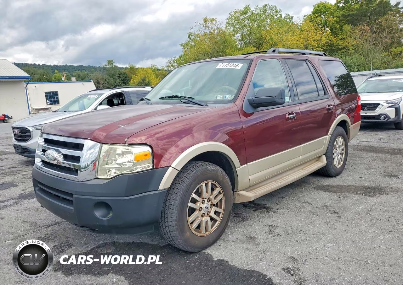 2009 Ford Expedition Eddie Bauer VIN:1FMFU18529EA71250 - 1