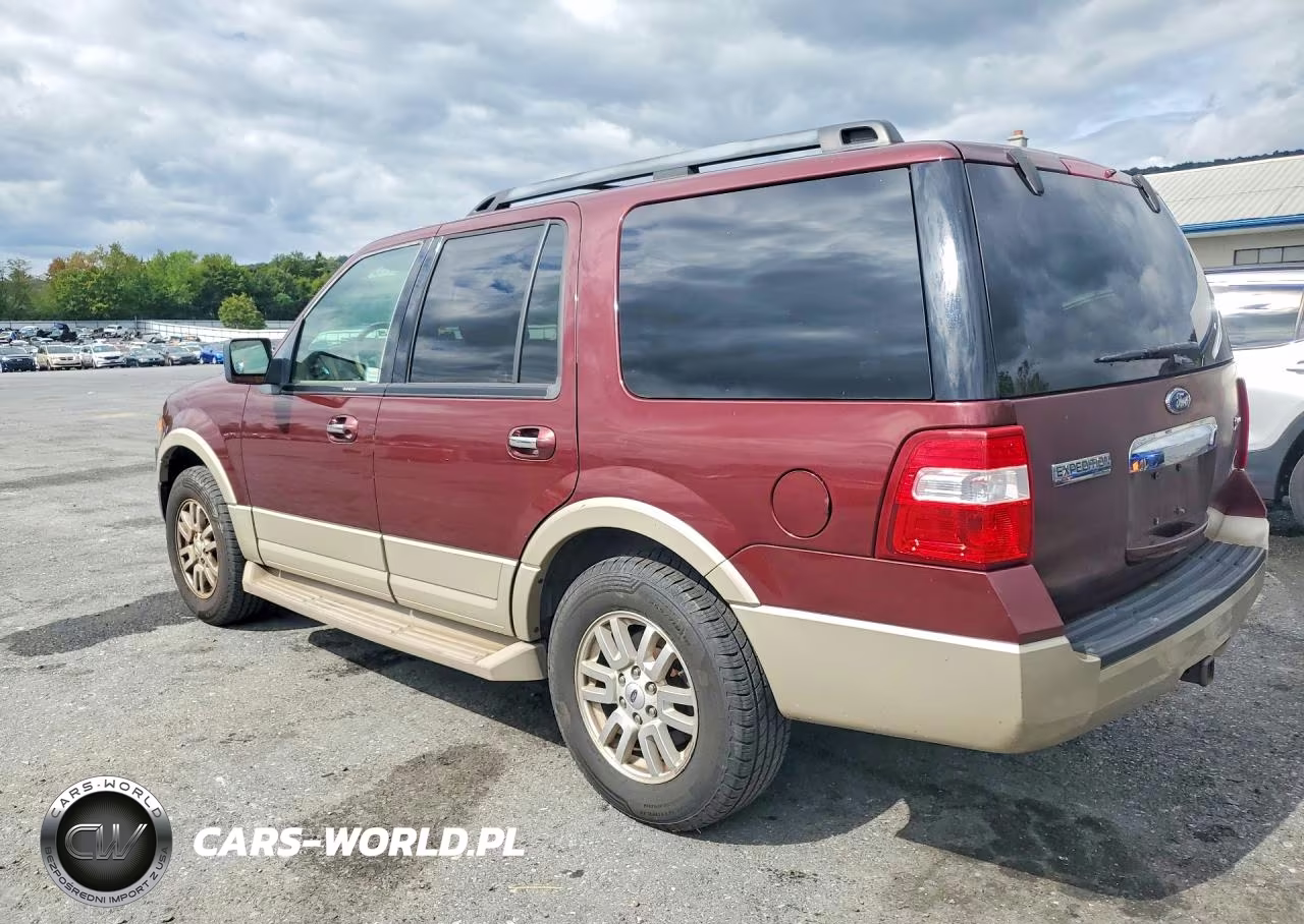 2009 Ford Expedition Eddie Bauer VIN:1FMFU18529EA71250 - 2