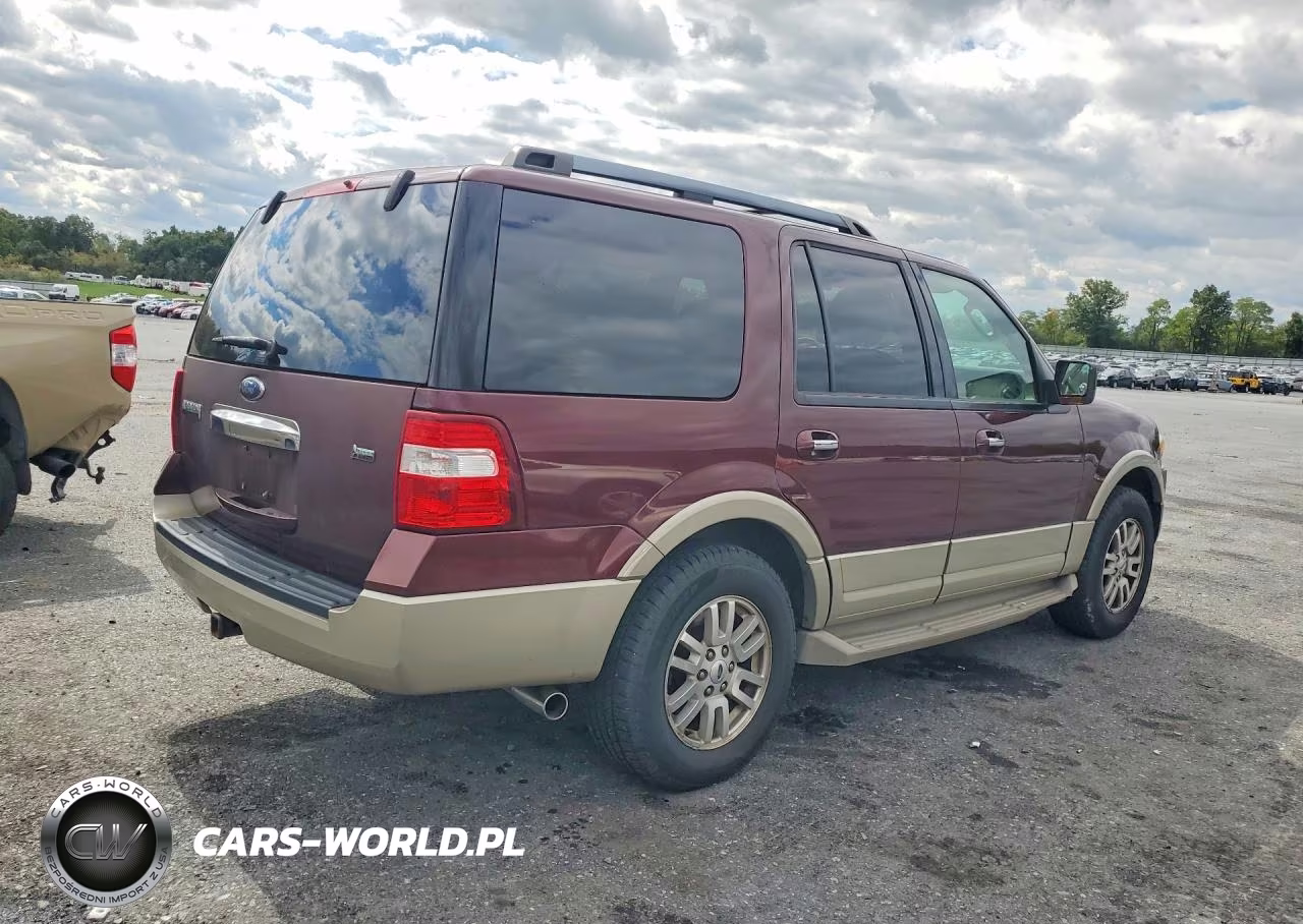 2009 Ford Expedition Eddie Bauer VIN:1FMFU18529EA71250 - 3