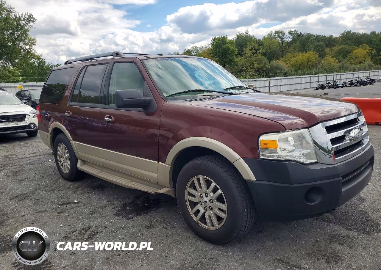 2009 Ford Expedition Eddie Bauer VIN:1FMFU18529EA71250 - 4