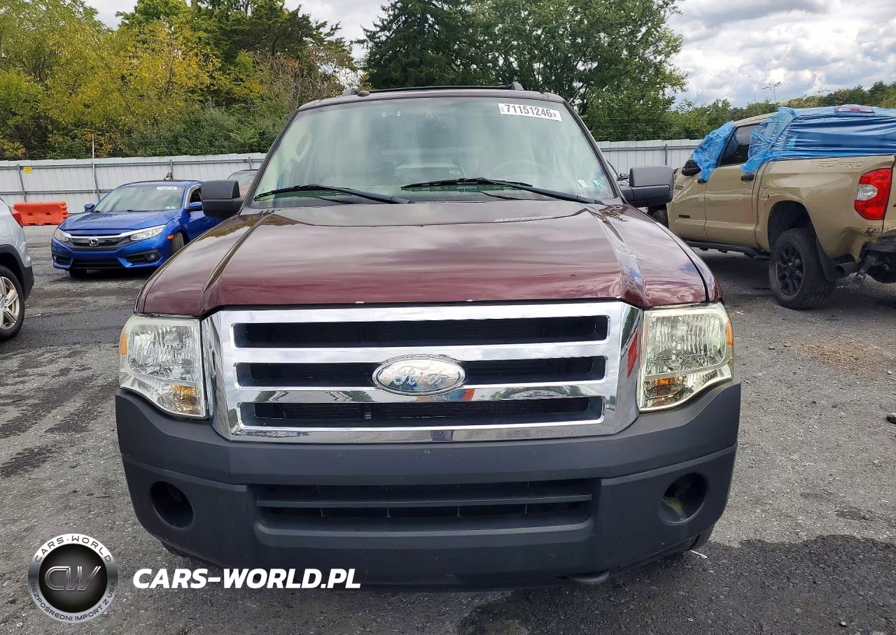 2009 Ford Expedition Eddie Bauer VIN:1FMFU18529EA71250 - 5
