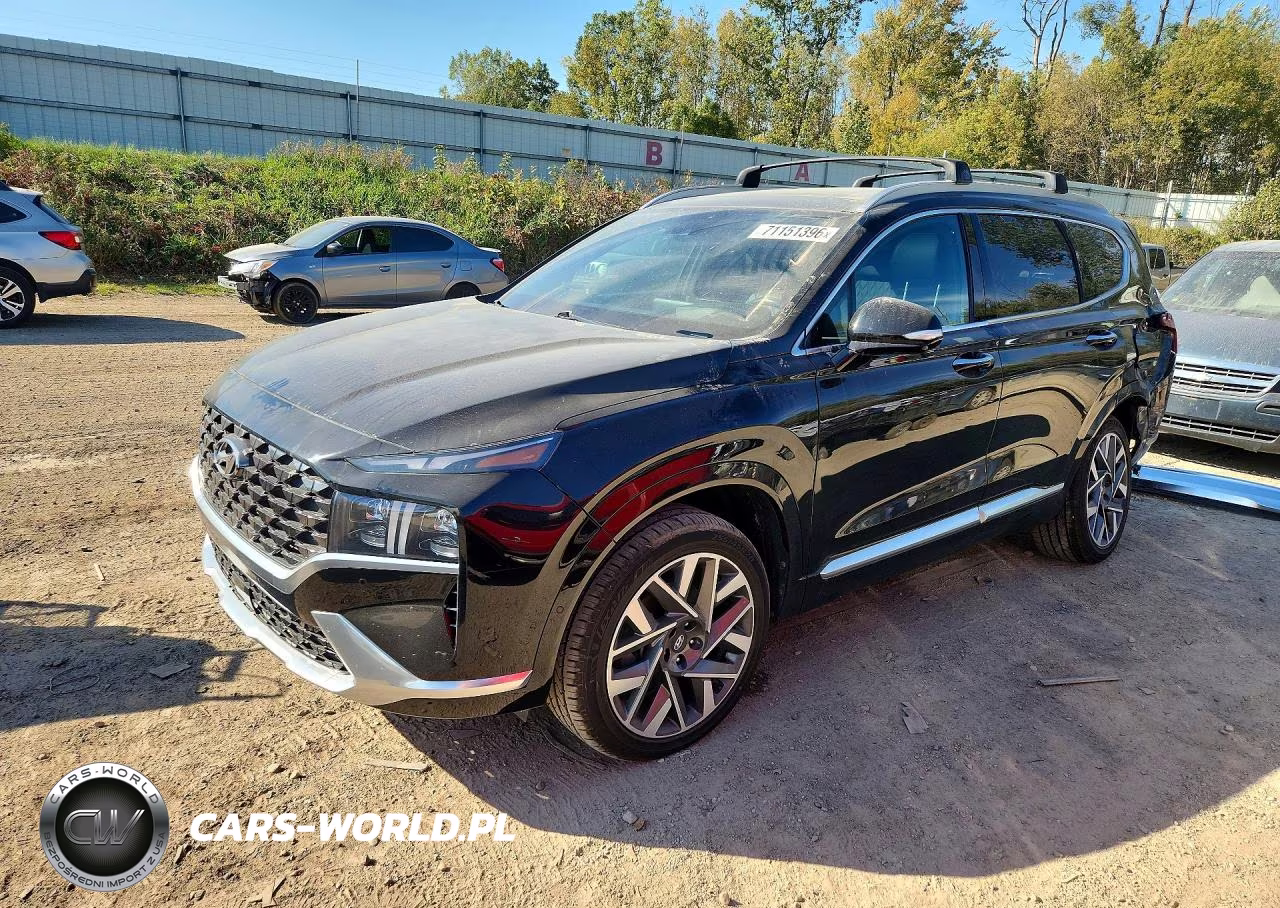 2021 Hyundai Santa Fe Calligraphy VIN:5NMS5DAL4MH369590 - 1