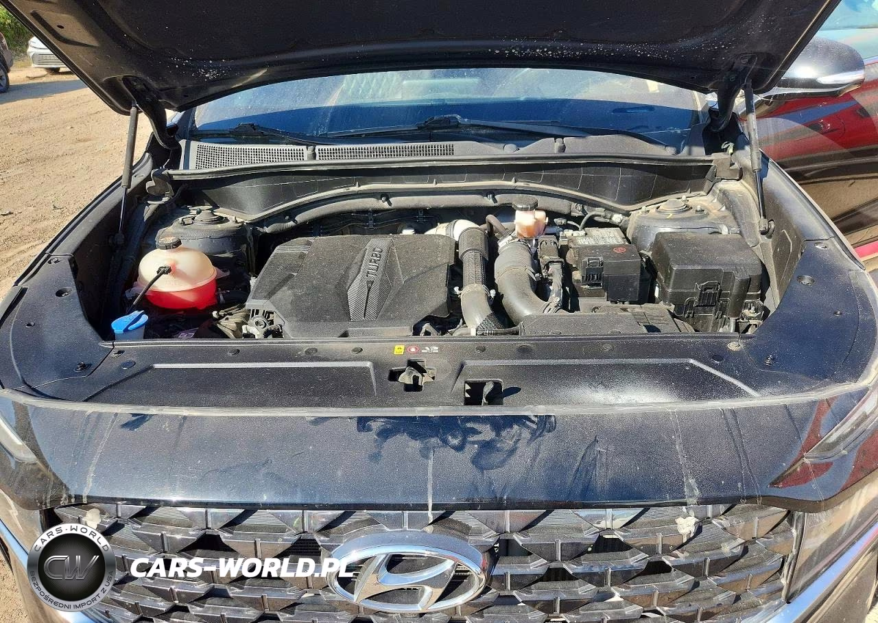 2021 Hyundai Santa Fe Calligraphy VIN:5NMS5DAL4MH369590 - 12