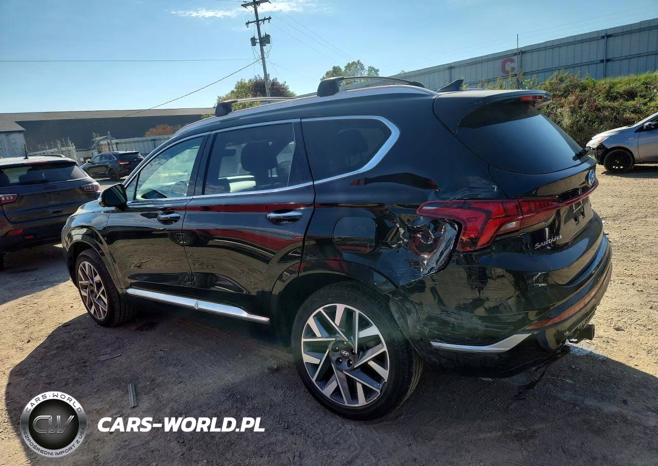 2021 Hyundai Santa Fe Calligraphy VIN:5NMS5DAL4MH369590 - 2