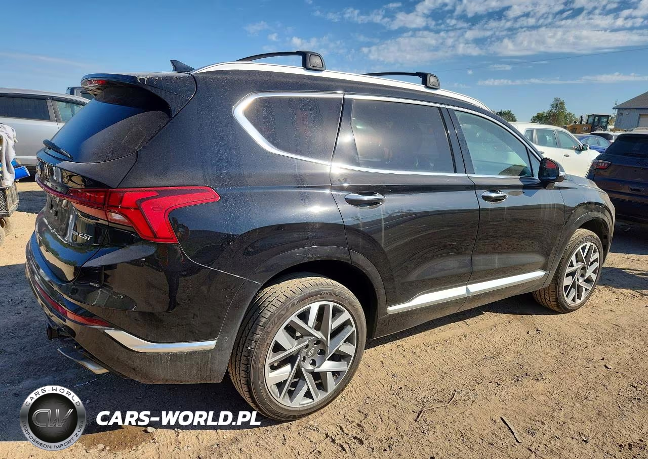 2021 Hyundai Santa Fe Calligraphy VIN:5NMS5DAL4MH369590 - 3