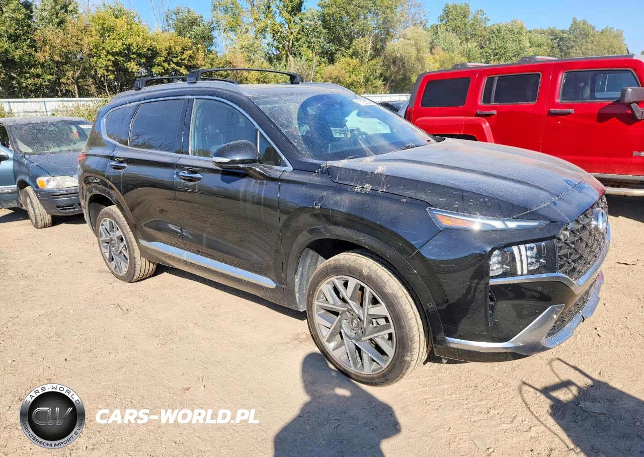 2021 Hyundai Santa Fe Calligraphy VIN:5NMS5DAL4MH369590 - 4