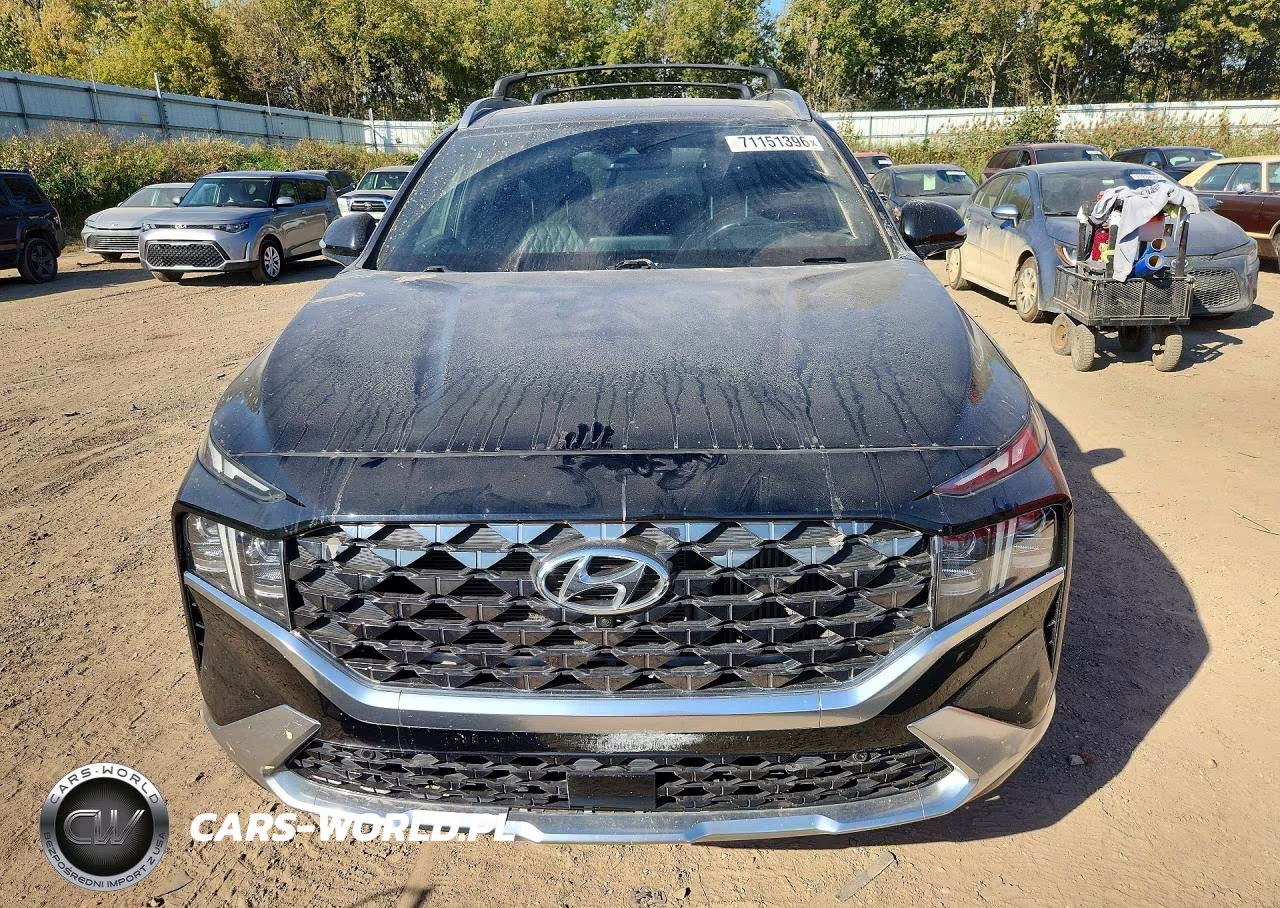 2021 Hyundai Santa Fe Calligraphy VIN:5NMS5DAL4MH369590 - 5