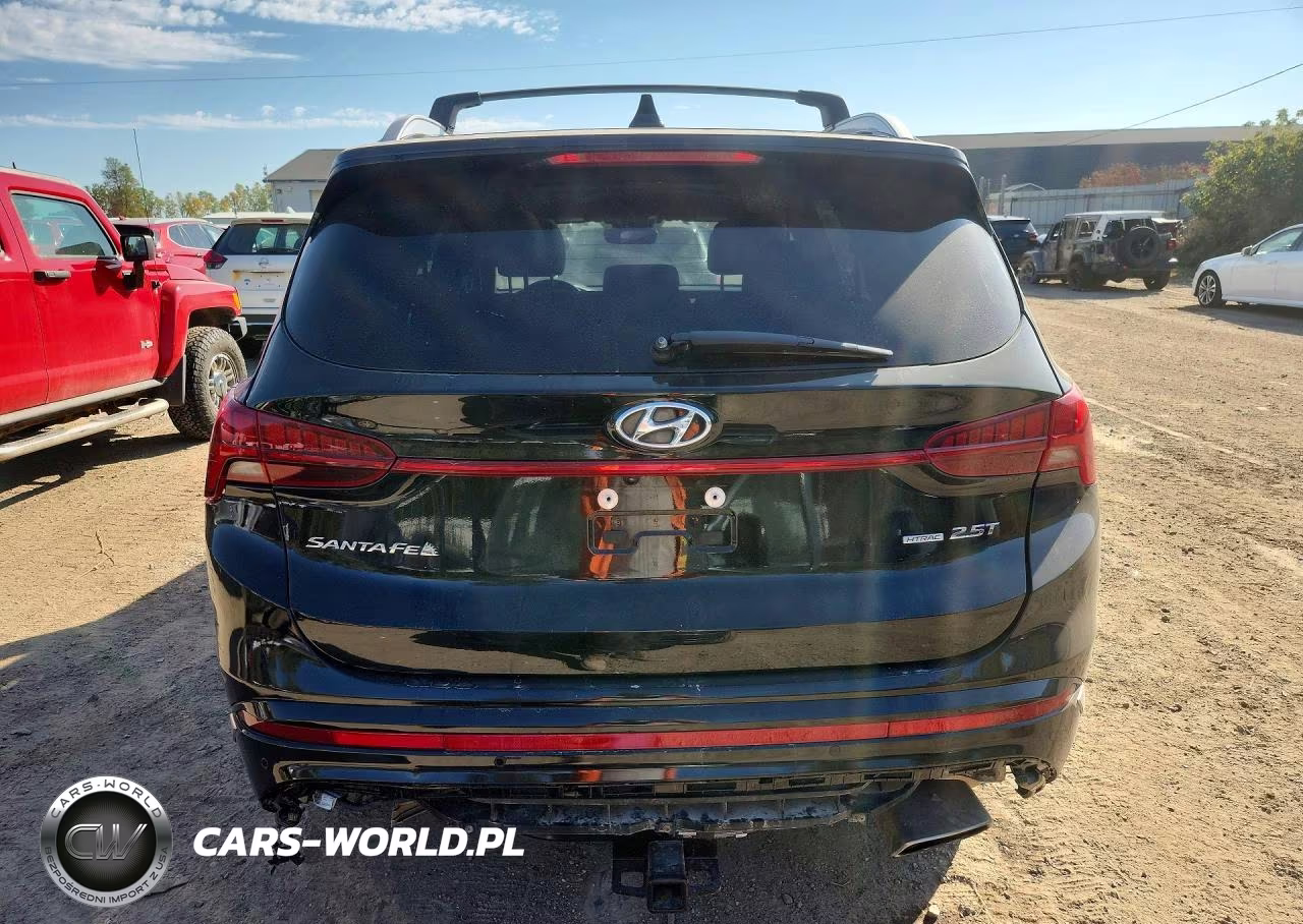 2021 Hyundai Santa Fe Calligraphy VIN:5NMS5DAL4MH369590 - 6