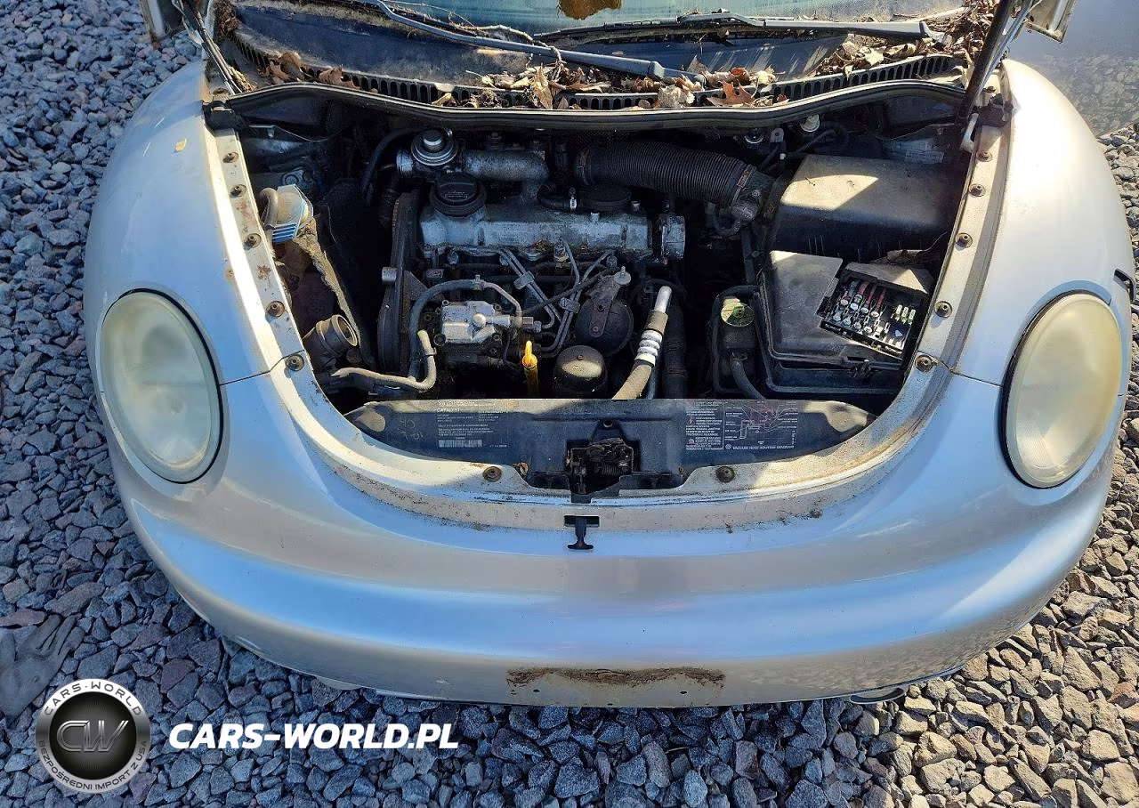 2002 Volkswagen New Beetle Gls Tdi VIN:3VWCP21C82M407672 - 11