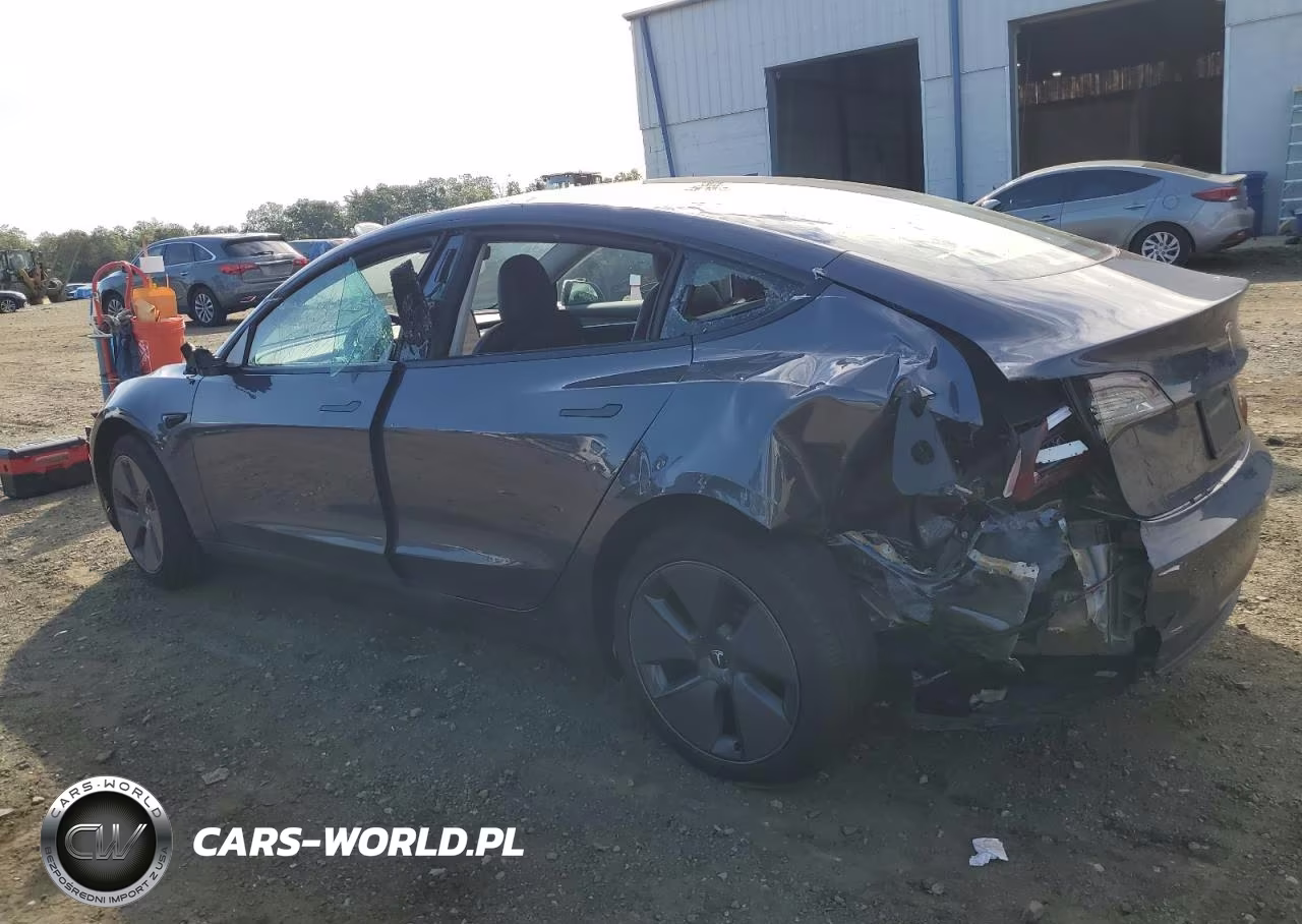 2023 Tesla Model 3 VIN:5YJ3E1EA1PF508561 - 2
