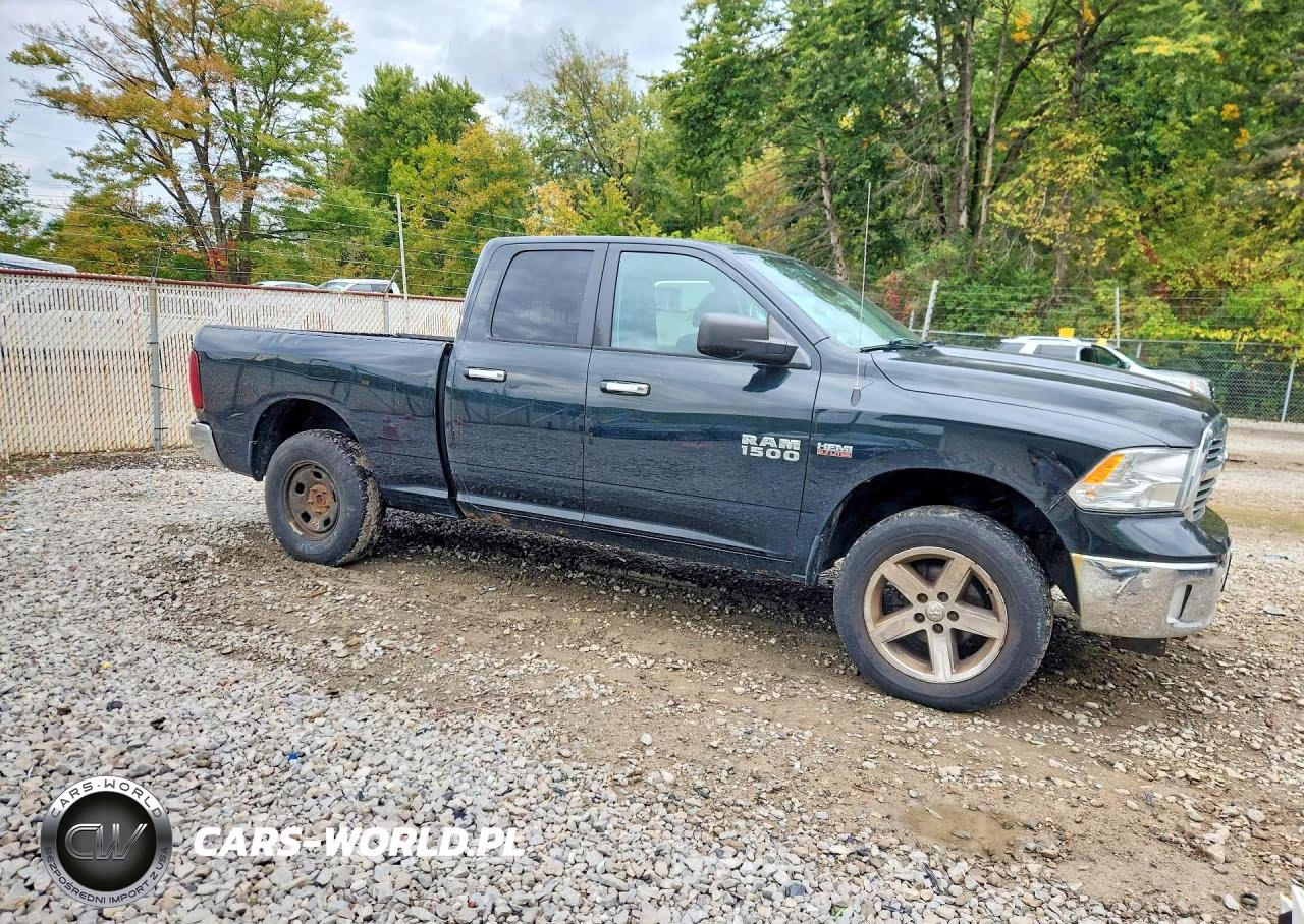 2015 Ram 1500 Crew Cab (4 Doo VIN:1C6RR7GT0FS721106 - 4