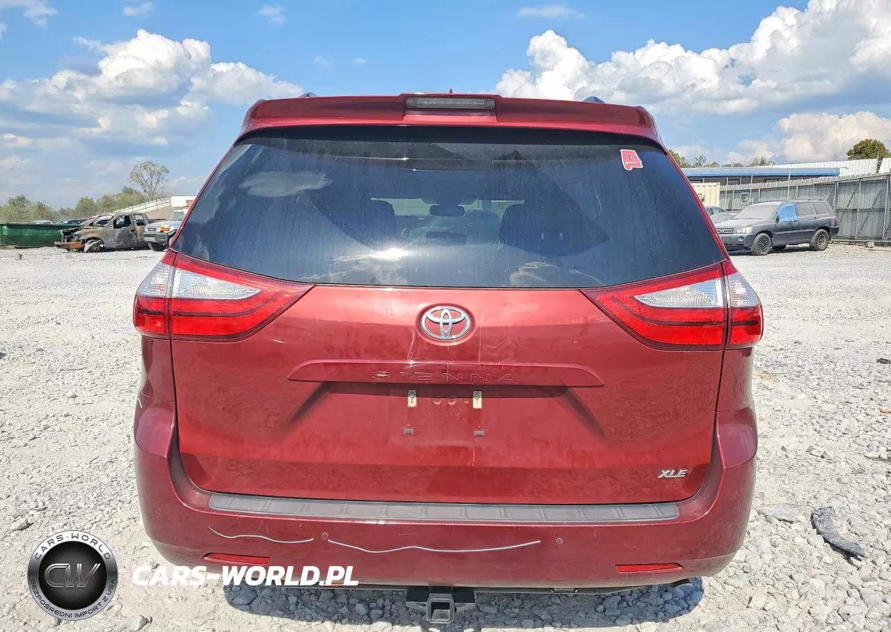 2019 Toyota Sienna Xle Premium 8-Passenger VIN:5TDYZ3DC9KS994677 - 6