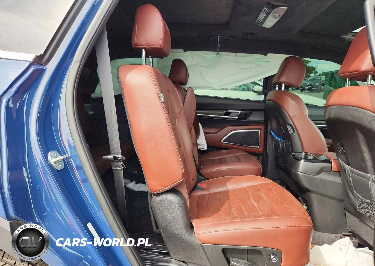 2023 Kia Telluride Sx-Prestige VIN:5XYP5DGC4PG331885 - 11