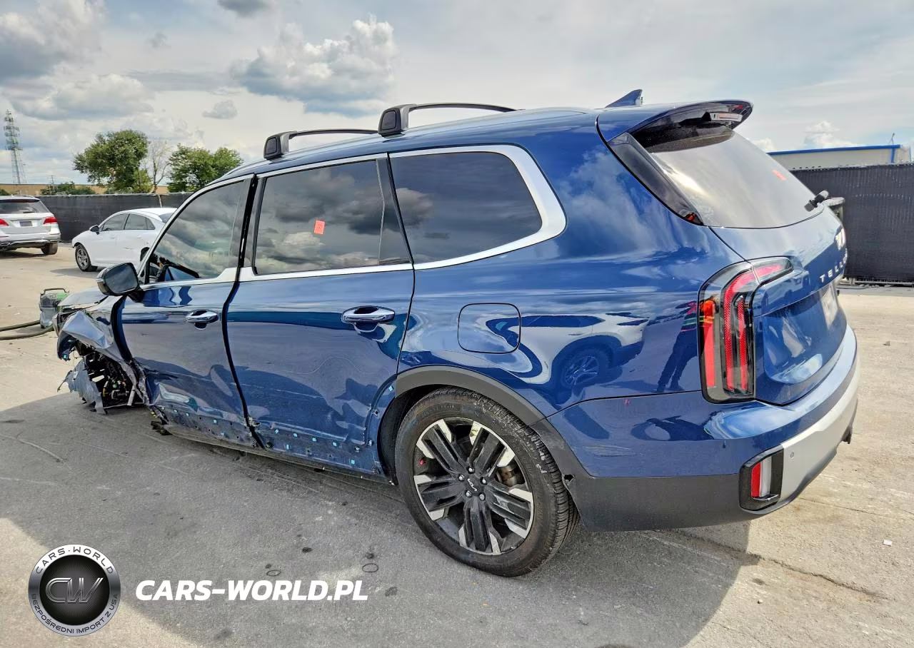2023 Kia Telluride Sx-Prestige VIN:5XYP5DGC4PG331885 - 2