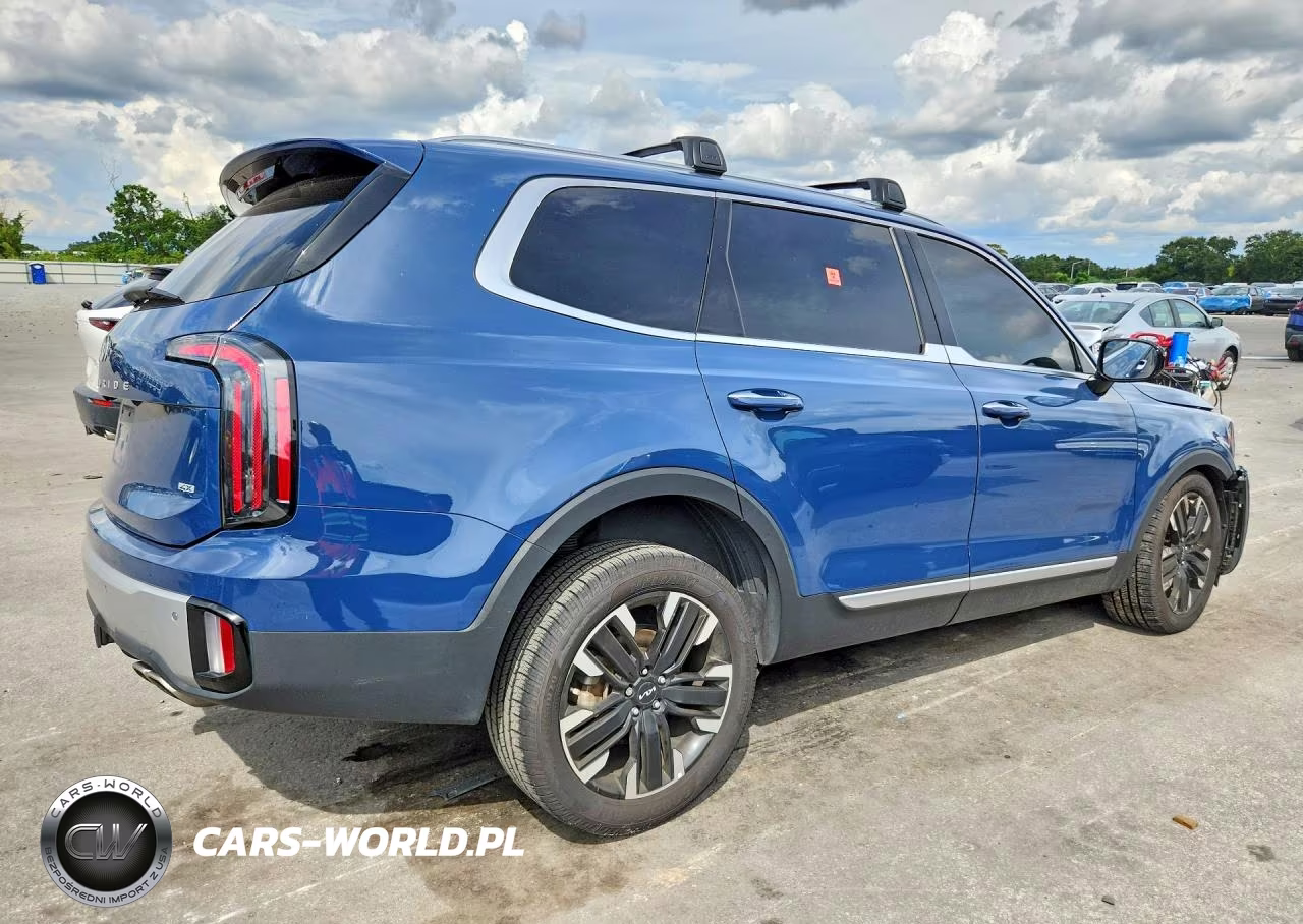 2023 Kia Telluride Sx-Prestige VIN:5XYP5DGC4PG331885 - 3