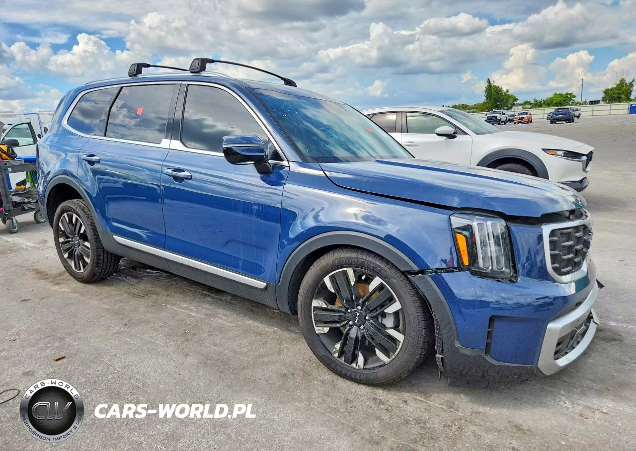2023 Kia Telluride Sx-Prestige VIN:5XYP5DGC4PG331885 - 4