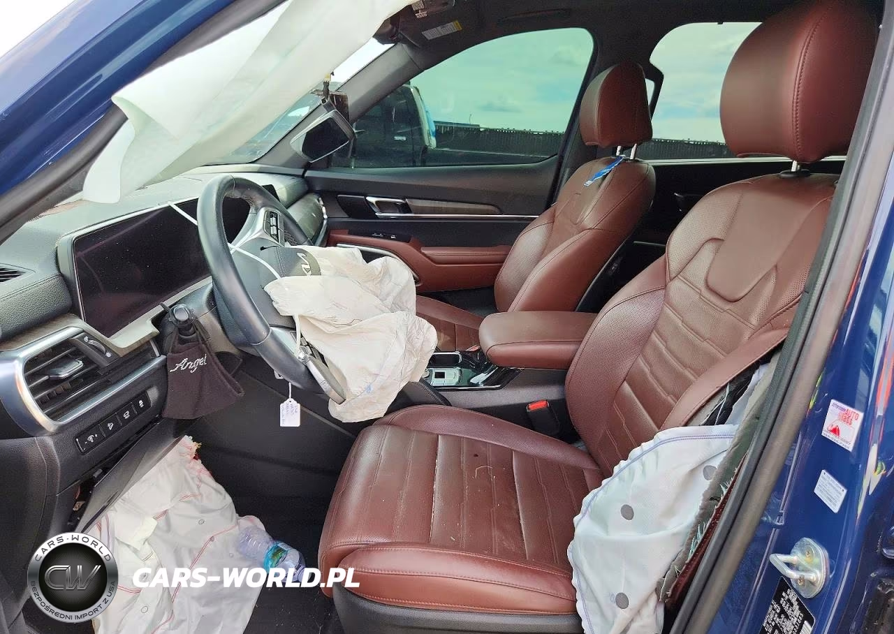 2023 Kia Telluride Sx-Prestige VIN:5XYP5DGC4PG331885 - 7