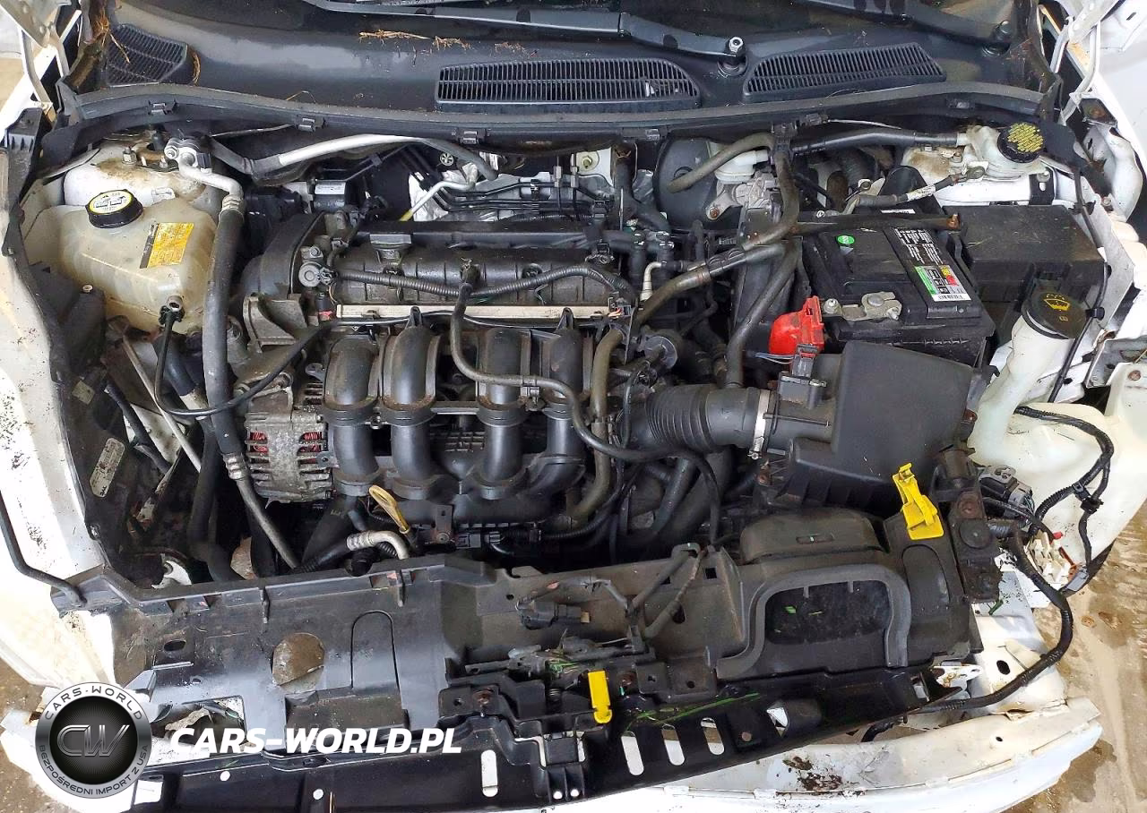 2012 Ford Fiesta Se VIN:3FADP4BJ7CM147465 - 11
