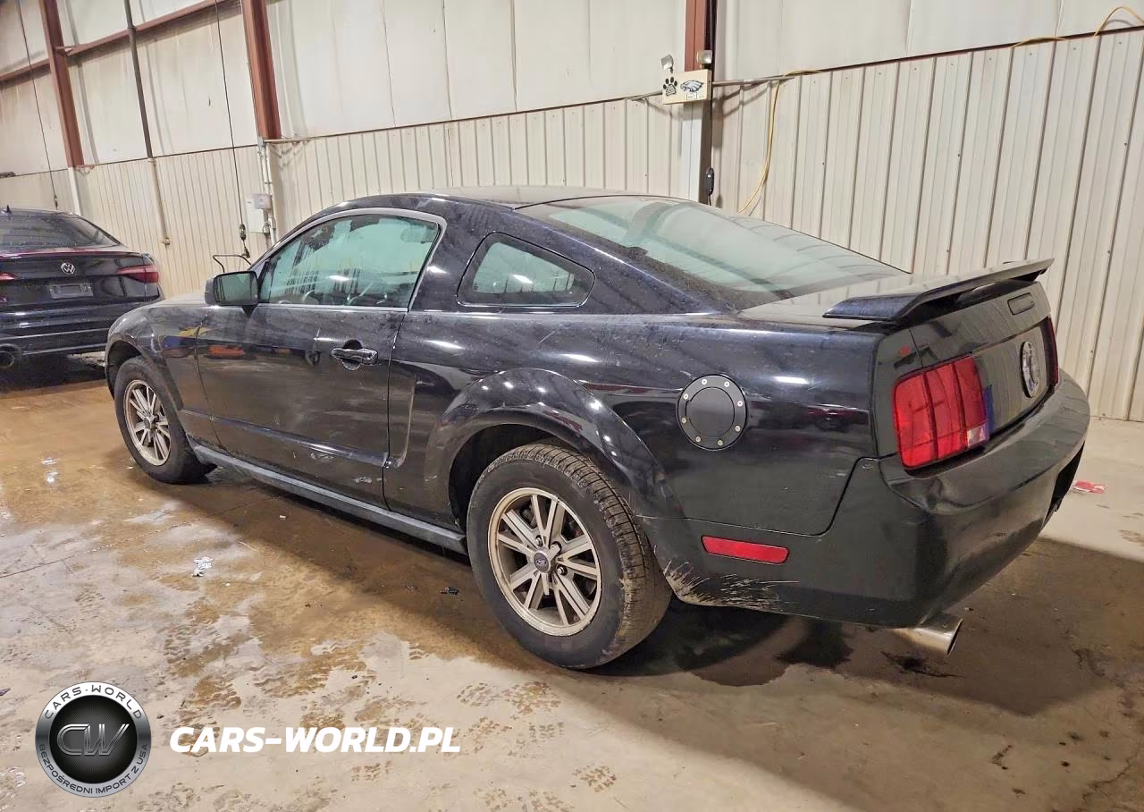 2005 Ford Mustang VIN:1ZVFT80N455129152 - 2