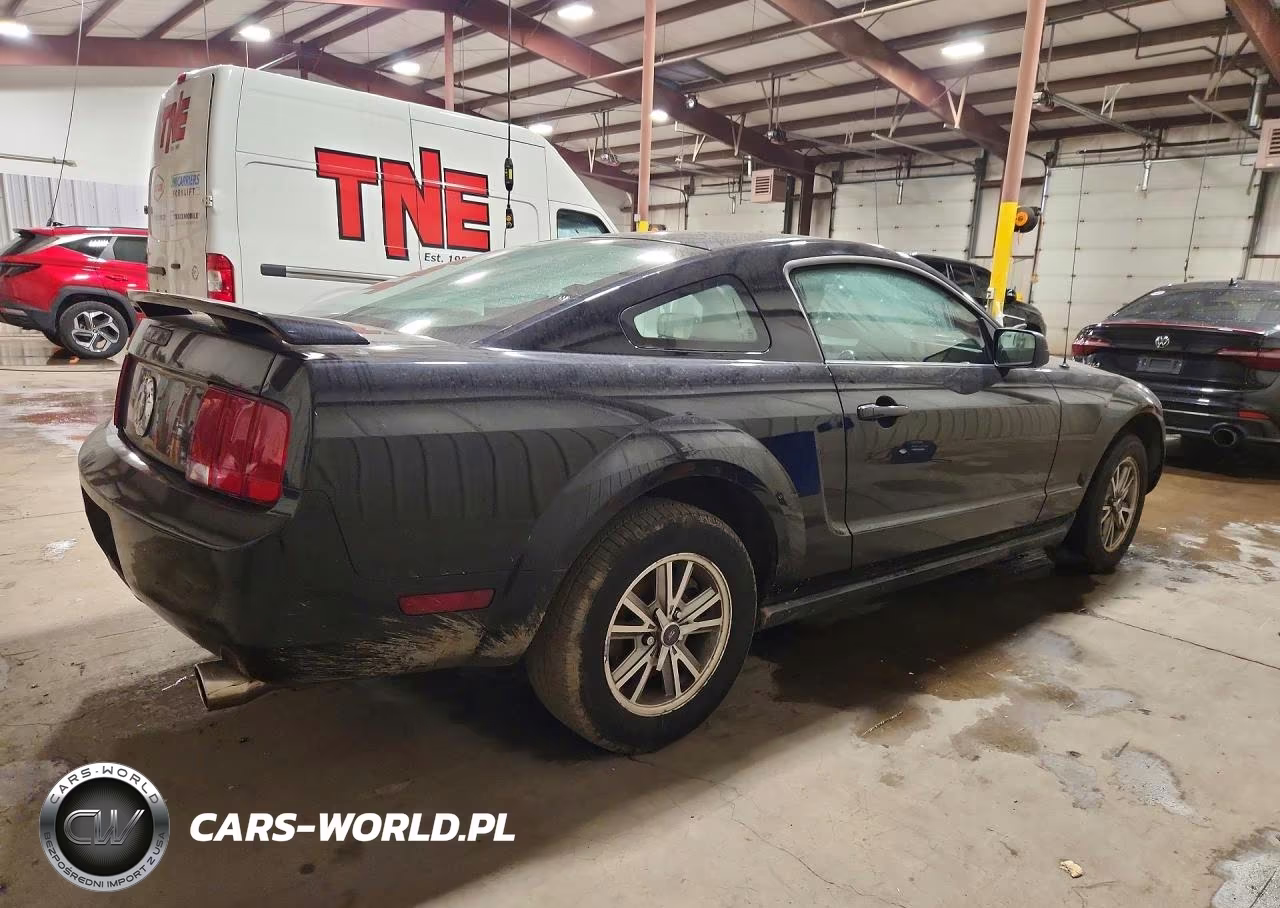 2005 Ford Mustang VIN:1ZVFT80N455129152 - 3