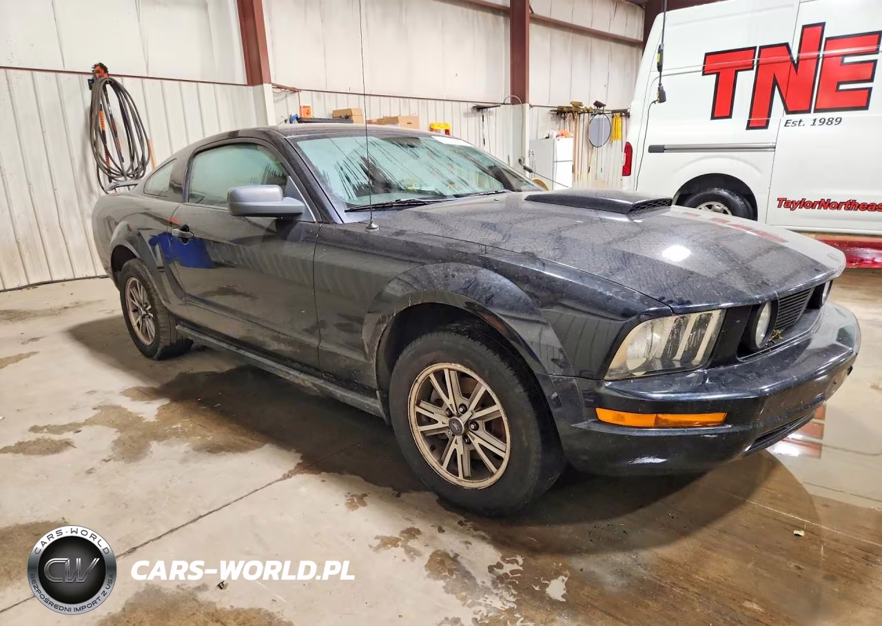 2005 Ford Mustang VIN:1ZVFT80N455129152 - 4