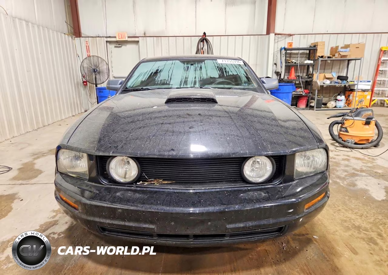 2005 Ford Mustang VIN:1ZVFT80N455129152 - 5