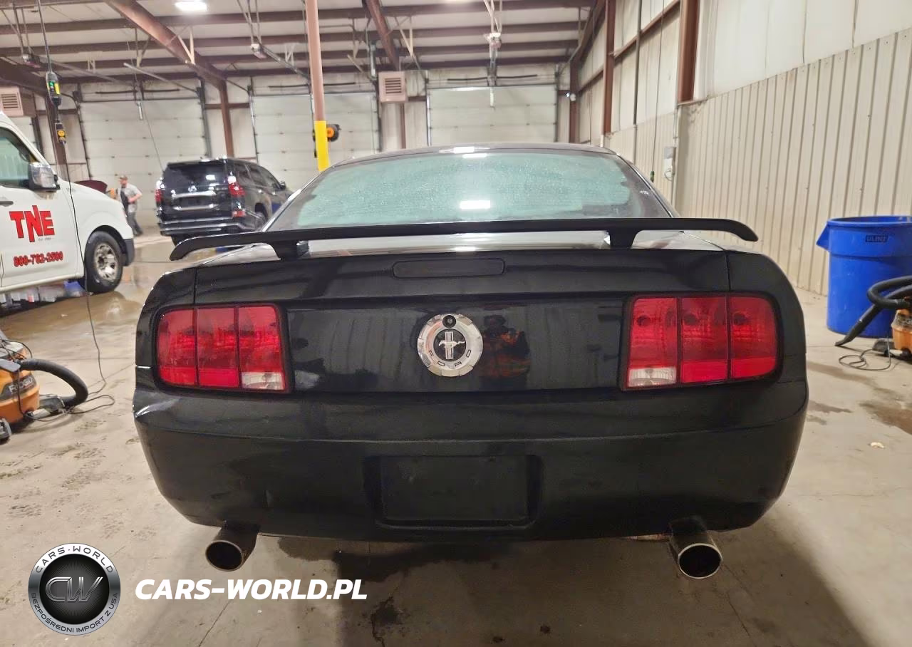 2005 Ford Mustang VIN:1ZVFT80N455129152 - 6