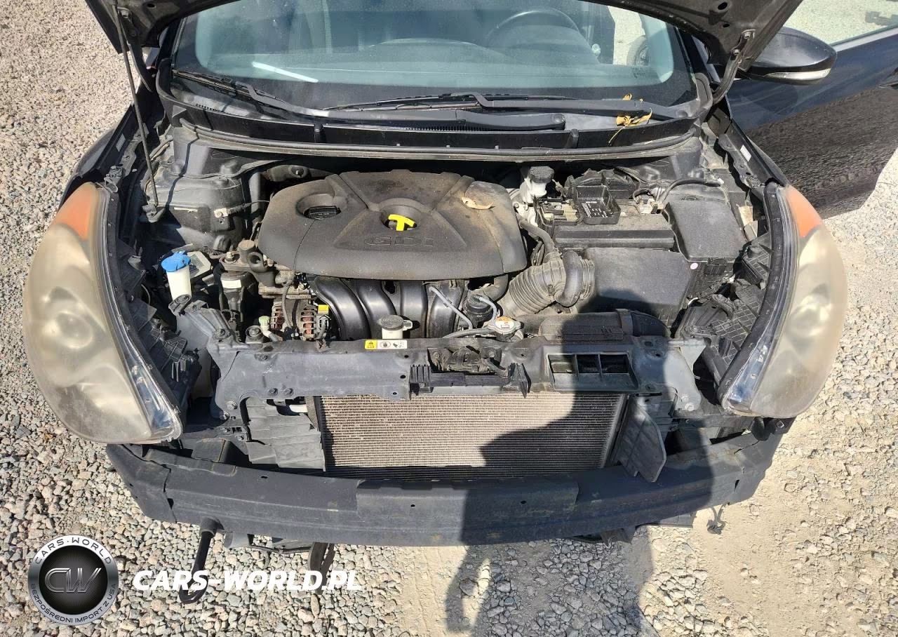 2016 Hyundai Elantra Gt Base VIN:KMHD35LH3GU312738 - 11