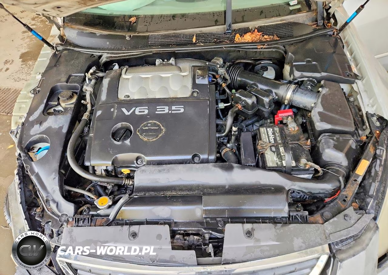 2007 Nissan Maxima 3.5 Se VIN:1N4BA41E47C803545 - 11
