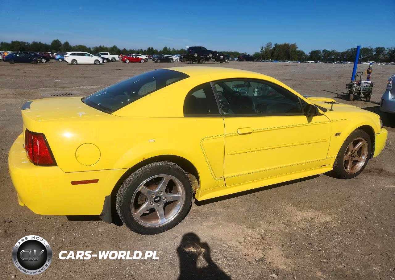 2003 Ford Mustang Gt VIN:1FAFP42X13F422695 - 3