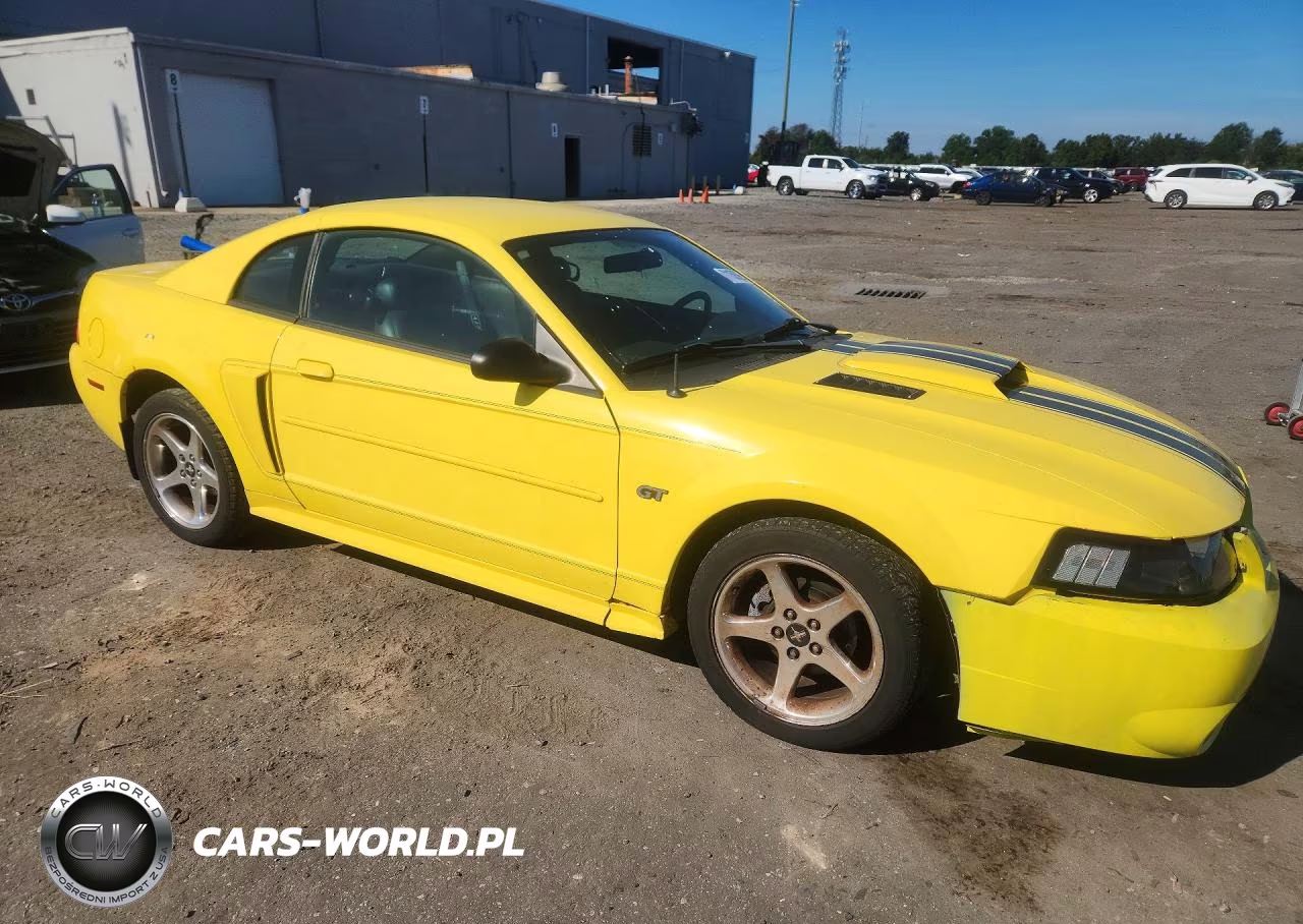 2003 Ford Mustang Gt VIN:1FAFP42X13F422695 - 4
