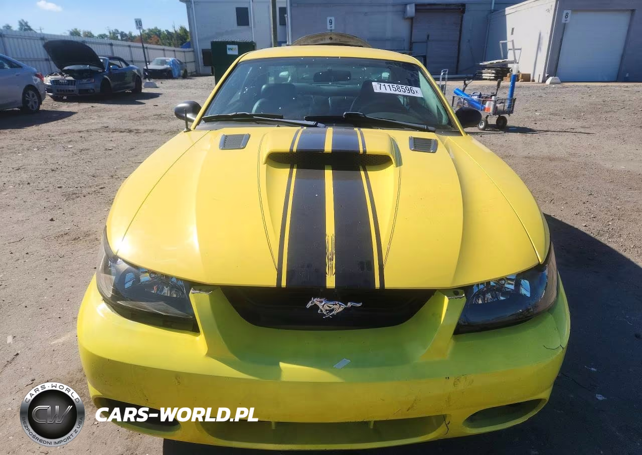 2003 Ford Mustang Gt VIN:1FAFP42X13F422695 - 5