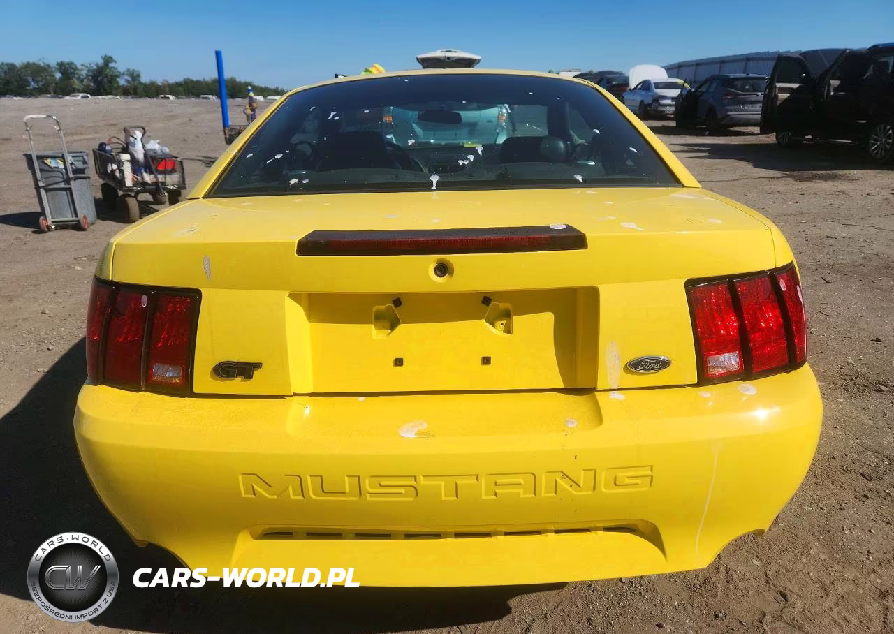 2003 Ford Mustang Gt VIN:1FAFP42X13F422695 - 6