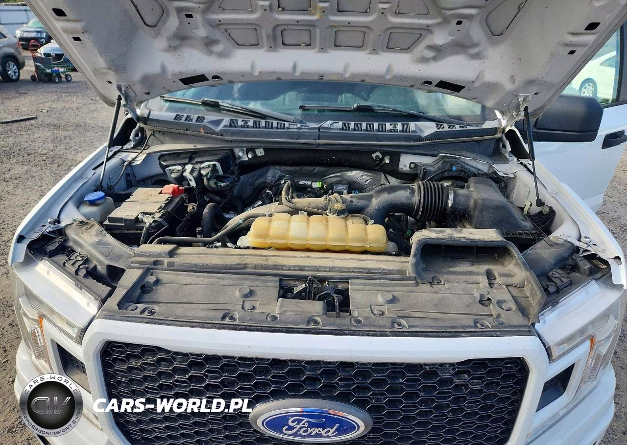2020 Ford F150 Supercrew VIN:1FTEW1EP0LFB28885 - 11