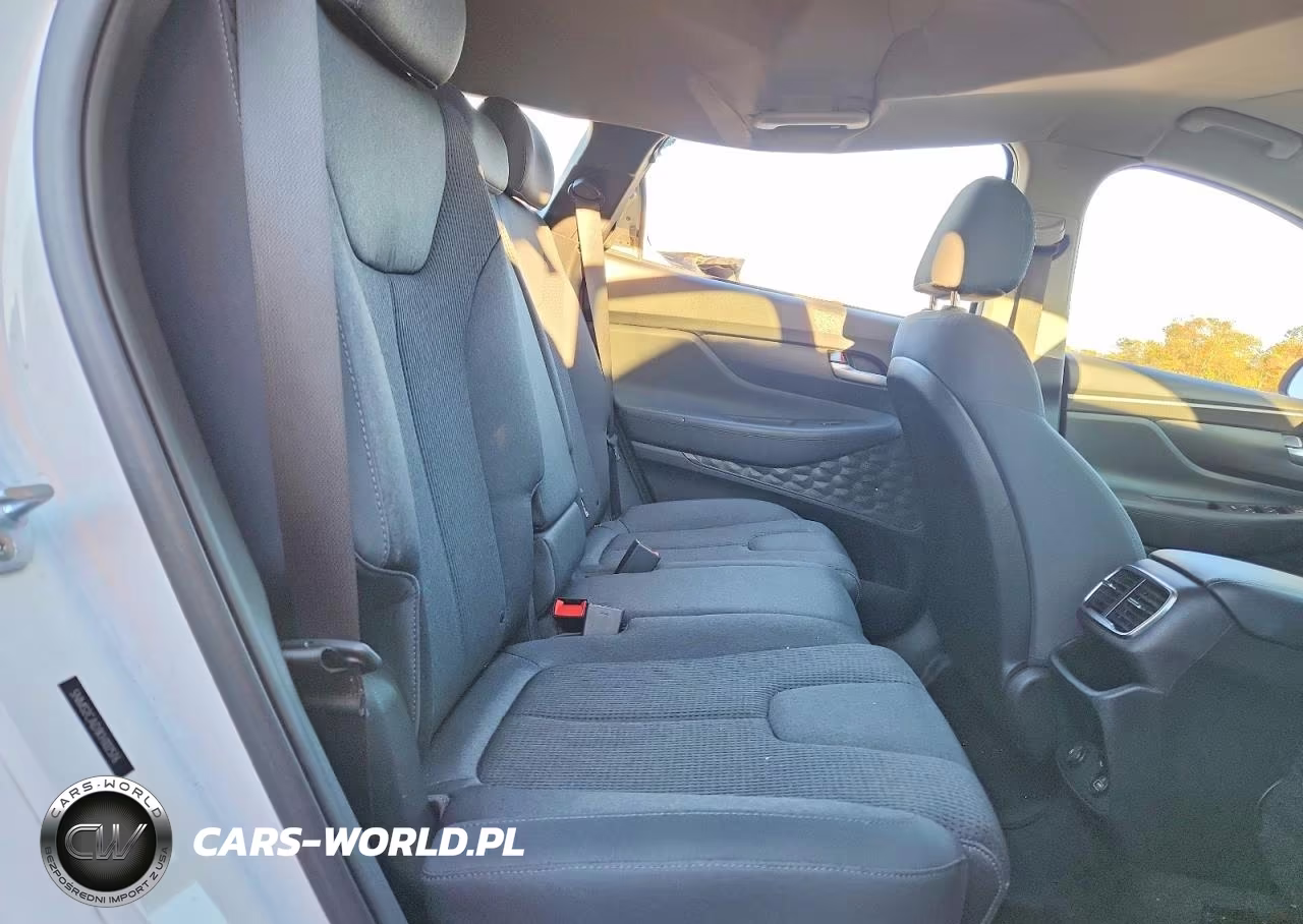 2019 Hyundai Santa Fe Se VIN:5NMS2CAD1KH102576 - 11