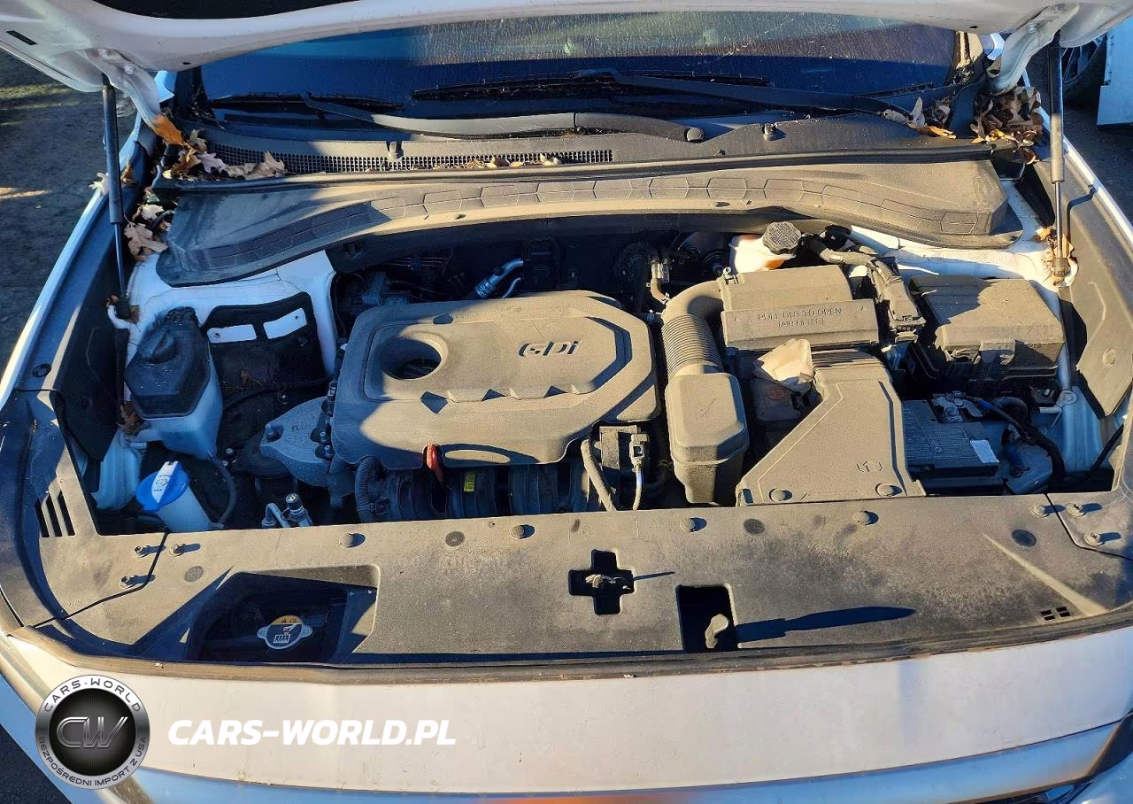 2019 Hyundai Santa Fe Se VIN:5NMS2CAD1KH102576 - 12