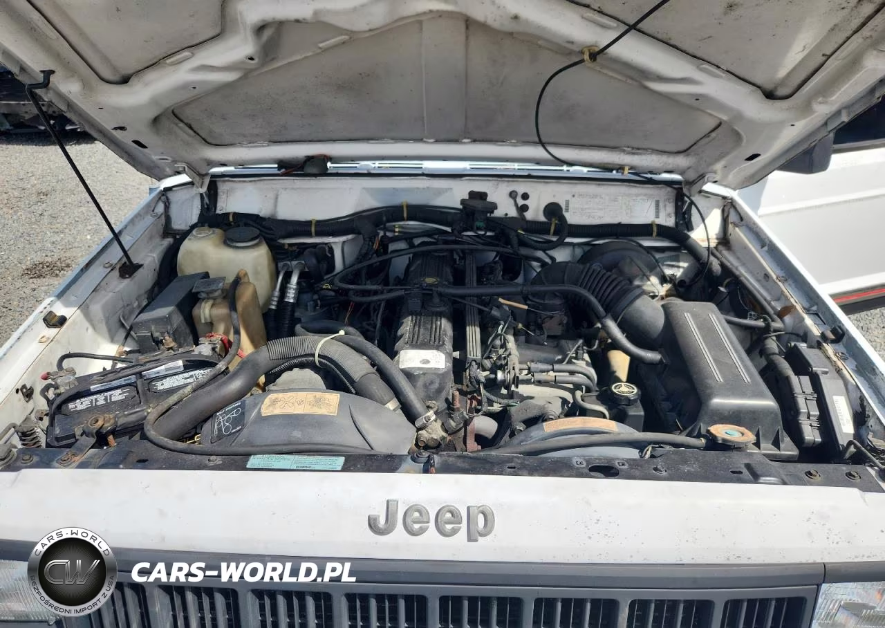 1994 Jeep Cherokee Sport VIN:1J4FT68S9RL227008 - 11