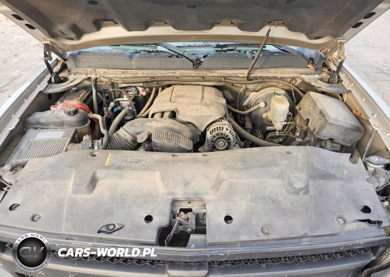 2009 Chevrolet Silverado K1500 VIN:1GCEK19C79Z188530 - 11