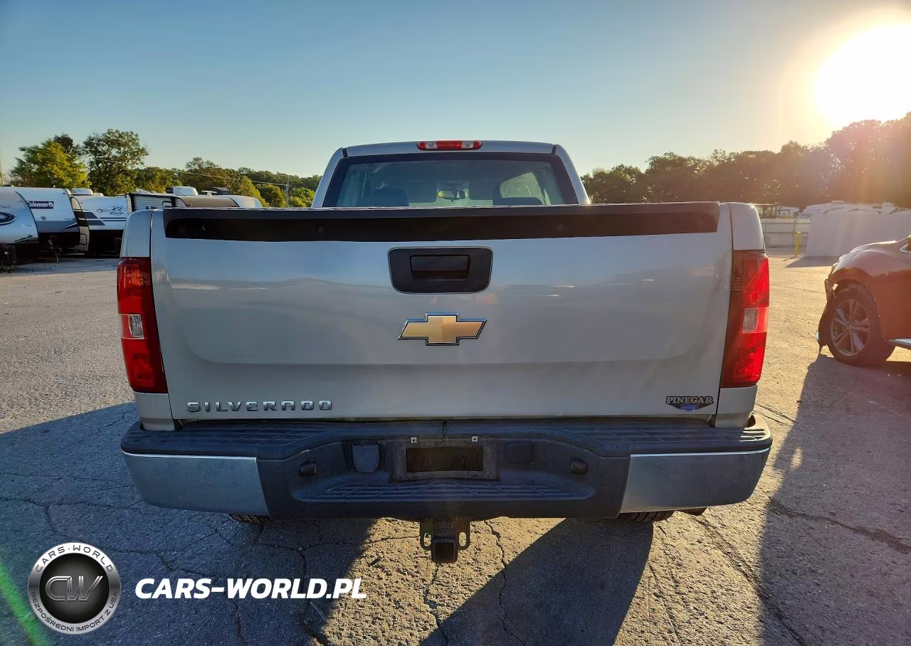 2009 Chevrolet Silverado K1500 VIN:1GCEK19C79Z188530 - 6