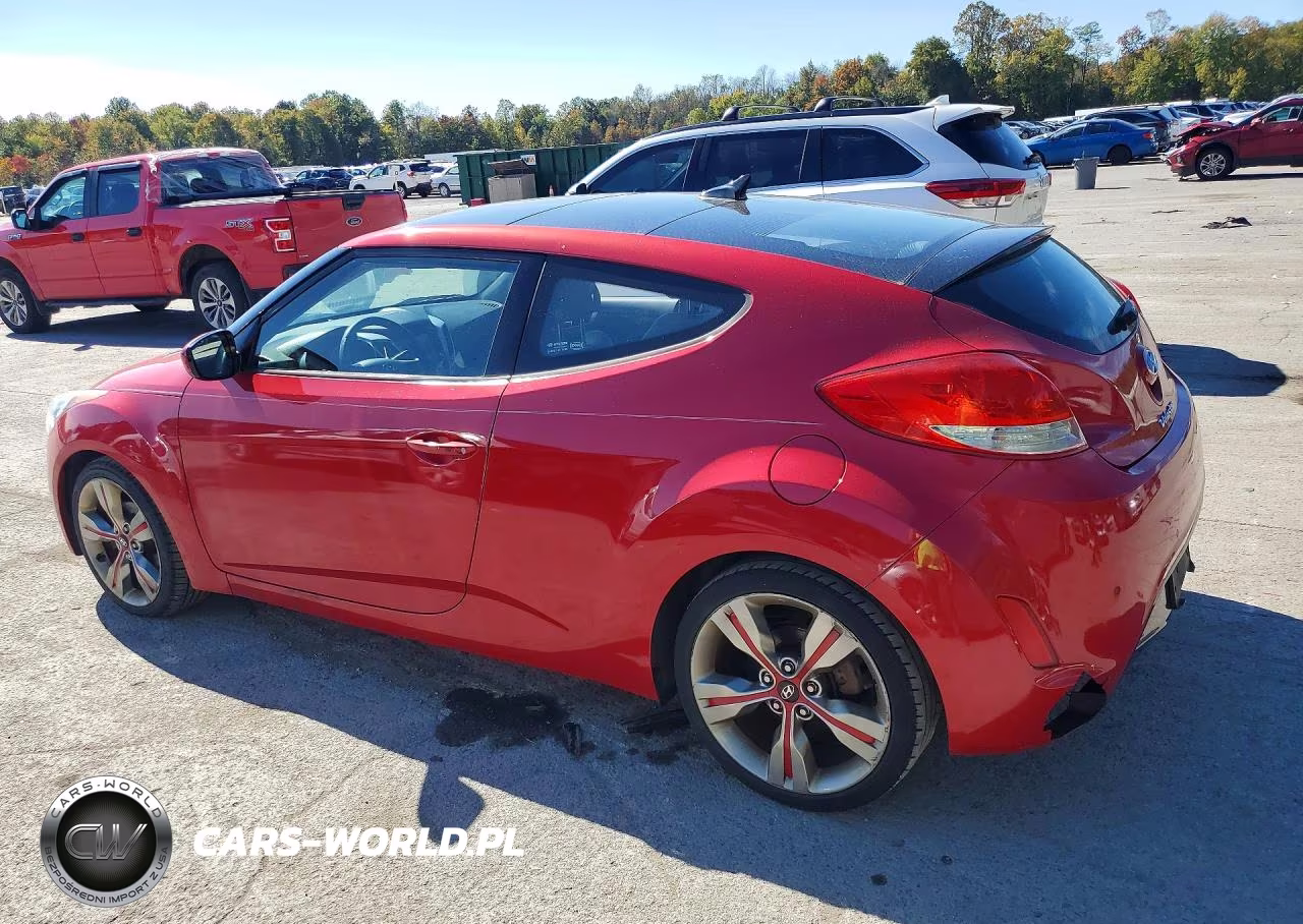 2013 Hyundai Veloster Base VIN:KMHTC6AD1DU109800 - 2