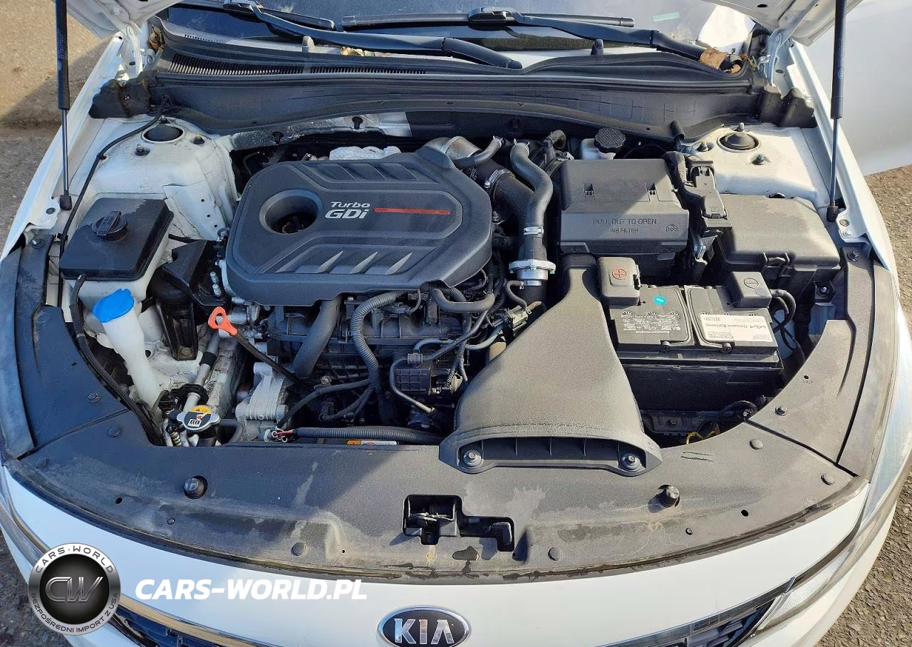 2019 Kia Optima Sx VIN:5XXGW4L23KG318097 - 11