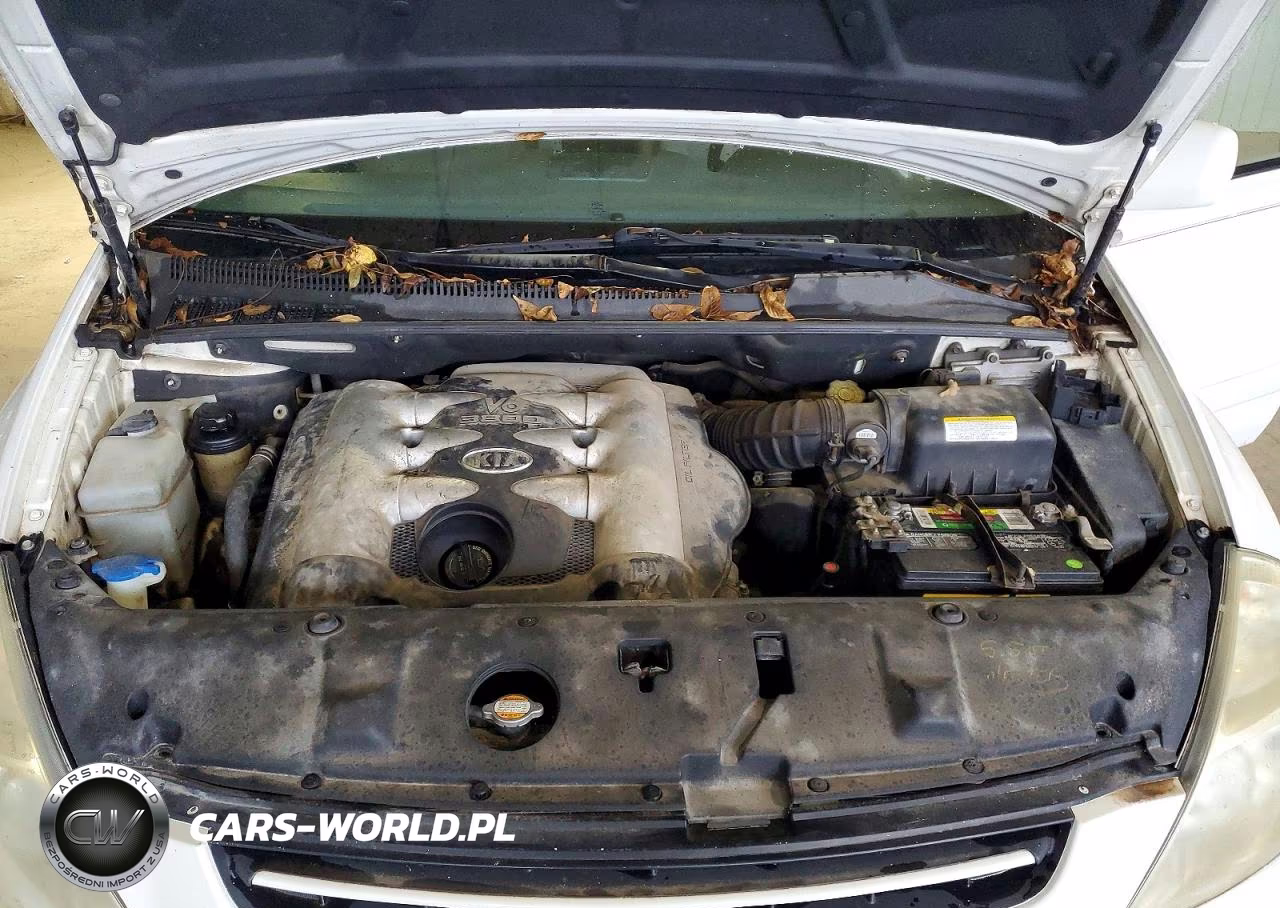 2006 Kia Sedona Lx VIN:KNDMB233166057603 - 12