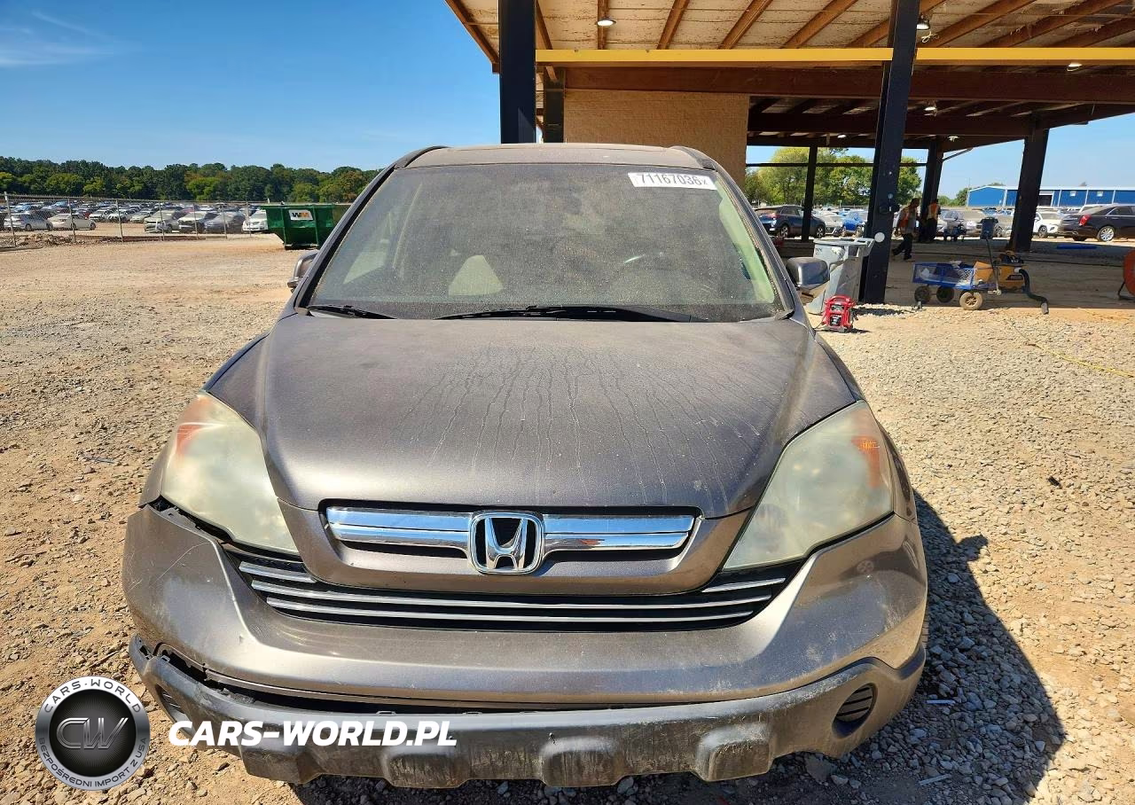 2009 Honda Cr-V Exl VIN:5J6RE48729L010164 - 5