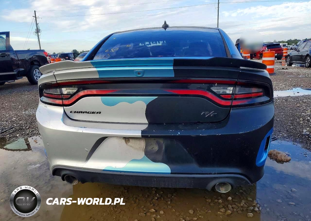 2020 Dodge Charger R-T VIN:2C3CDXCTXLH106749 - 6