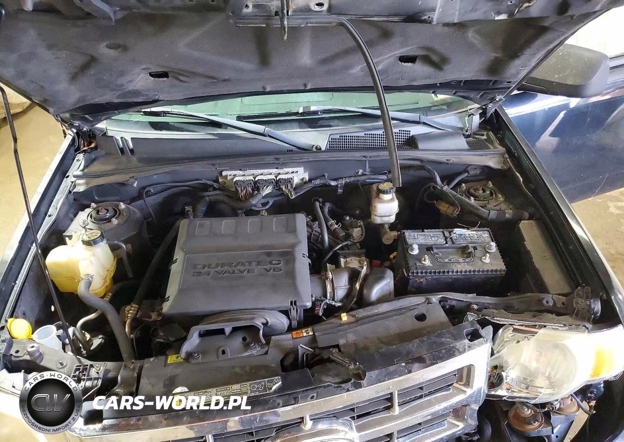 2010 Ford Escape Xlt VIN:1FMCU9DG5AKB08998 - 12