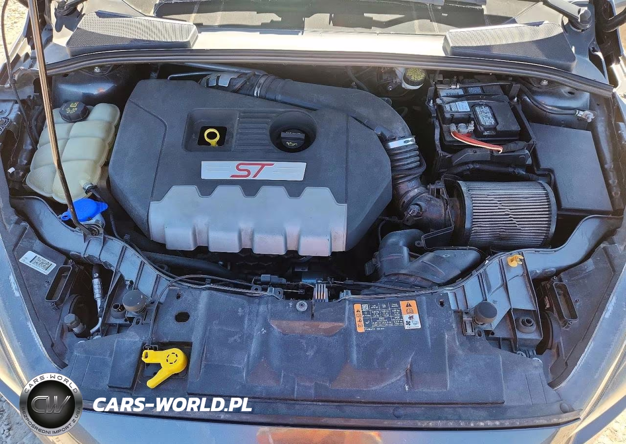 2016 Ford Focus St VIN:1FADP3L95GL310636 - 11