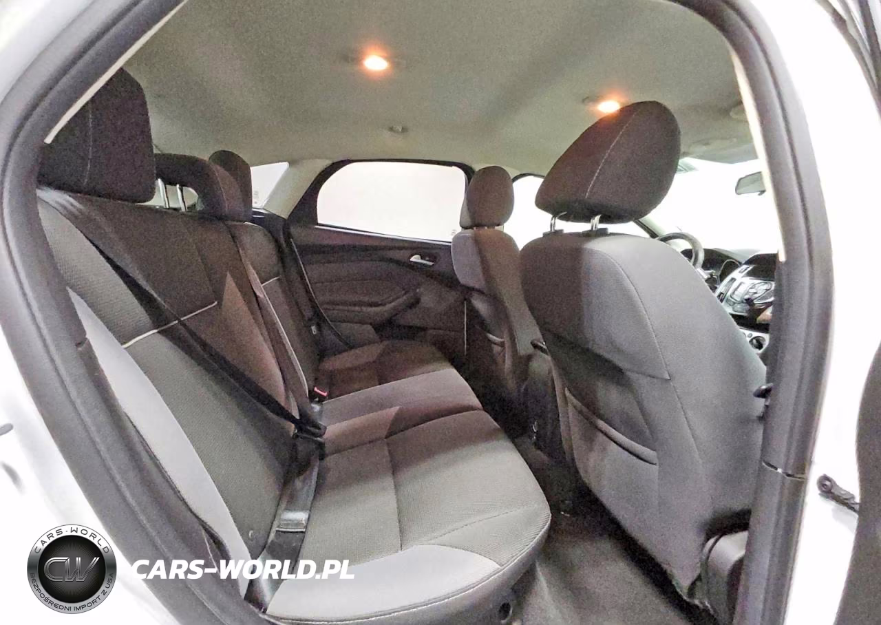 2014 Ford Focus Se VIN:1FADP3K21EL301613 - 10