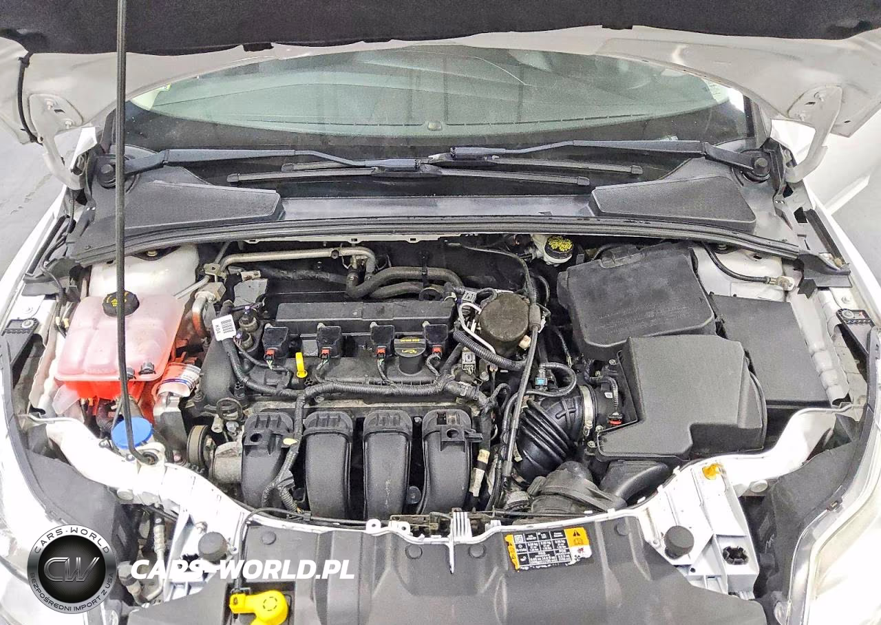 2014 Ford Focus Se VIN:1FADP3K21EL301613 - 11