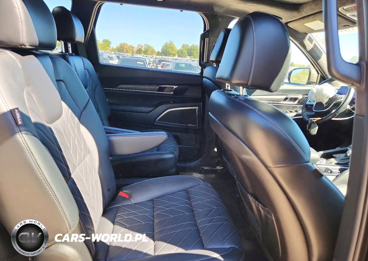 2024 Kia Telluride Sx-Prestige X-Line VIN:5XYP5DGC4RG536819 - 11