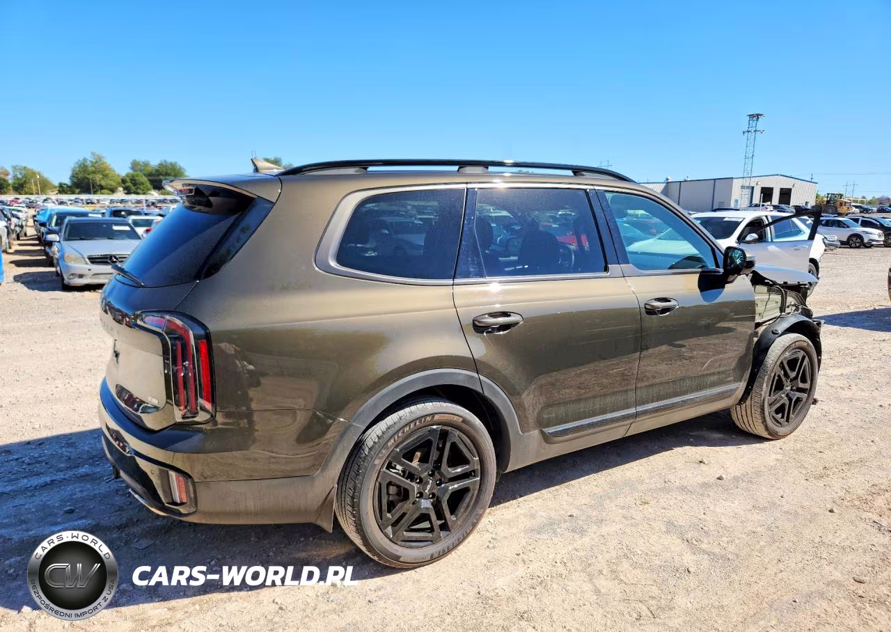 2024 Kia Telluride Sx-Prestige X-Line VIN:5XYP5DGC4RG536819 - 3